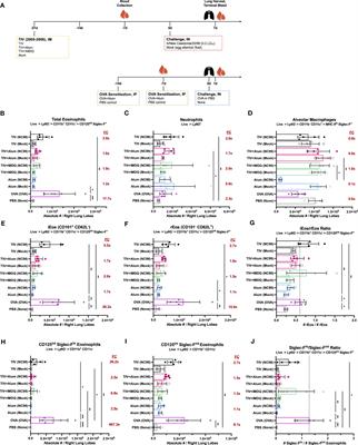 Influenza breakthrough infection in vaccinated mice is characterized by non-pathological lung eosinophilia